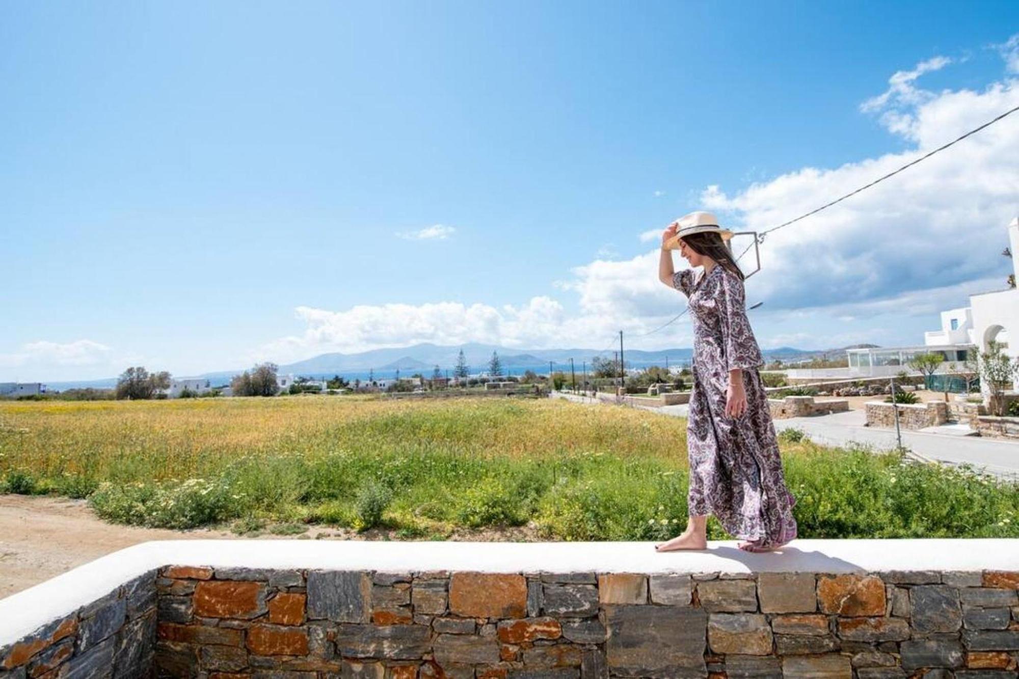 Naxos Agia Anna Sunset View Olive House 아파트 외부 사진