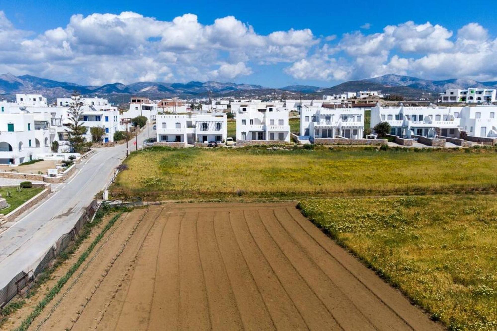 Naxos Agia Anna Sunset View Olive House 아파트 외부 사진